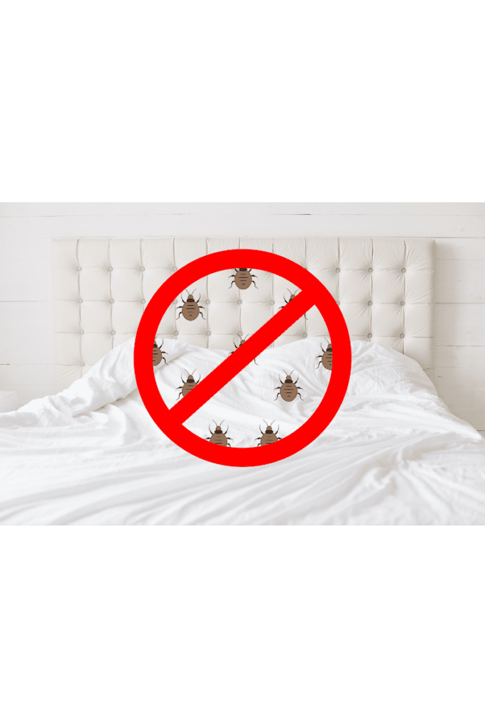 bed bugs in hotel room, bed bug free holiday, tips