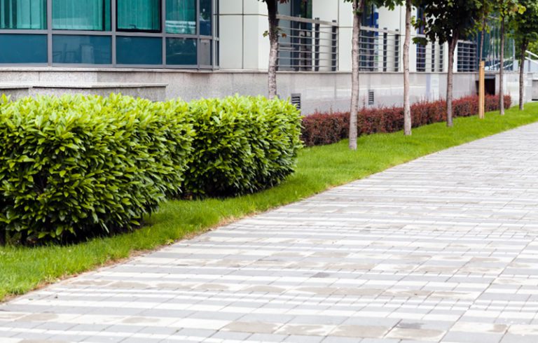 commercial landscaping, commercial pest prevention