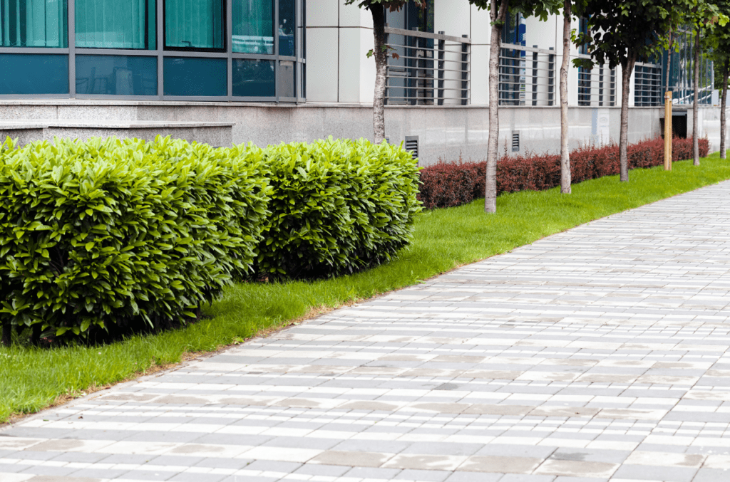 Front of commercial building with proper garden upkeep