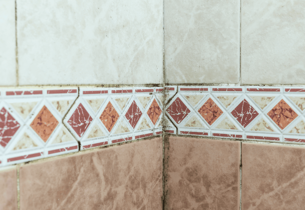 best-way-to-clean-moldy-bathroom-grout-and-tiles-express