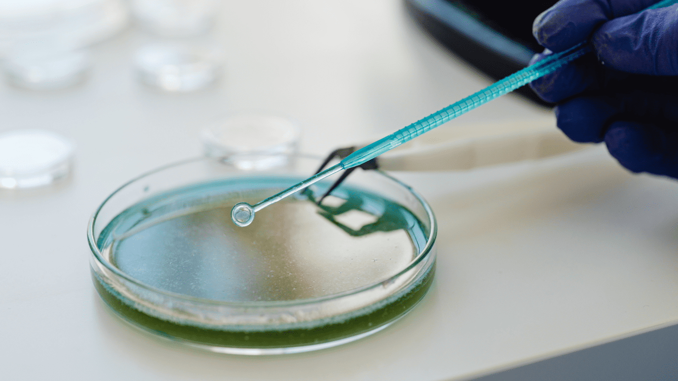 Image showcasing Mold Remediation in Commercial Buildings