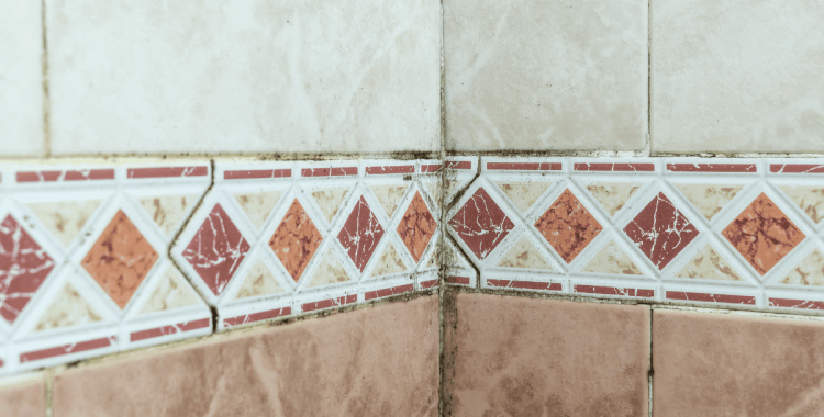 Best Way To Clean Moldy Bathroom Grout and Tiles - Express